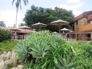 African Sky Hotels - Pine Lake Inn外面的花园