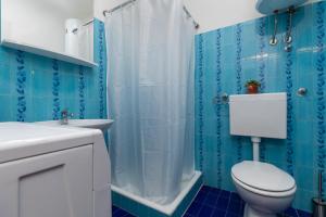 y baño de azulejos azules con aseo y ducha. en Apartment Zdravka, en Kutleša