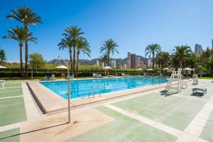 a swimming pool with palm trees and a resort at Hotel Caballo de Oro in Benidorm