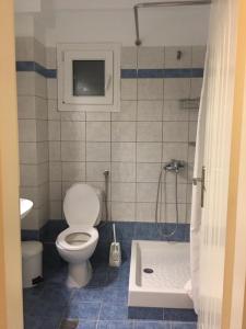 a bathroom with a toilet and a shower and a tub at Seaflows Apartments #3 in Paralia Katerinis