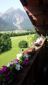 Vista generica sulle montagne o vista sulle montagne dall'interno dell'appartamento