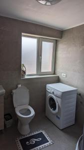 a bathroom with a toilet and a washing machine at Casa Beatrice in Călimăneşti