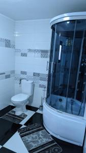 La salle de bains est pourvue de toilettes et d'une douche en verre. dans l'établissement Casa Beatrice, à Călimăneşti