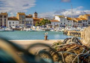 a view of a harbor with boats in the water at Le bruit des vagues in Port-la-Nouvelle