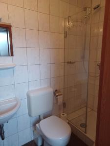 a bathroom with a toilet and a shower at Gasthaus zur Linde in Staufenberg