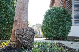 a heart shaped rock sitting next to a tree at Naturhaus Luminus in Bad Aibling