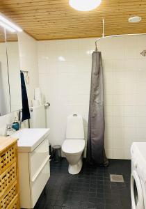 La salle de bains est pourvue de toilettes et d'une douche. dans l'établissement Boklok house near the airport., à Vantaa