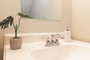 ein Waschbecken mit Topfpflanze und Spiegel in der Unterkunft Your Cozy One Bedroom Midtown in Detroit