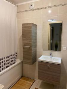 a bathroom with a sink and a tub and a mirror at Bel appartement entre terre et mer in Sarrola-Carcopino