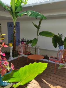 Philoxenia, maison et table d'hôtes外面的花园