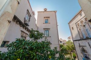 un edificio alto con un árbol delante de él en Rooms Eden Old Town, en Dubrovnik