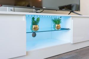 een witte tv-standaard met twee planten erop bij Private Bed Downtown INDY - Shared in Indianapolis