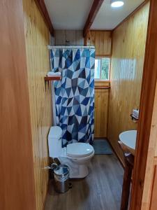 een badkamer met een toilet en een douchegordijn bij Cumbres del poicas in Cochamó