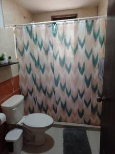 uma casa de banho com um WC e uma cortina de chuveiro em Cabaña en Ayotla Zacatlán Pue em Zacatlán
