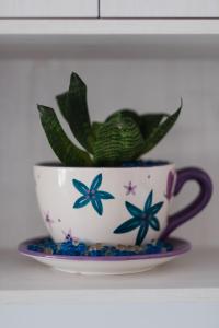 una taza de té con una planta en un plato en Departamento Vista Nova Culiacán, en Casas