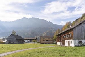 un grupo de edificios en un campo con montañas en el fondo en Boutique Apartments Mellau, en Mellau