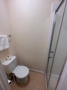 a bathroom with a toilet and a shower at 281 Hotel & Restaurant in Mansfield
