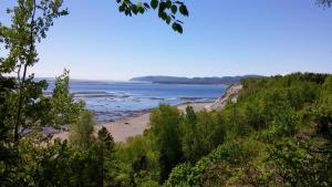 Imagen de la galería de La Nef Bleue, en Tadoussac