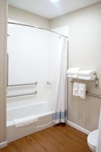 a bathroom with a shower with a shower curtain at TownePlace Suites by Marriott Ames in Ames