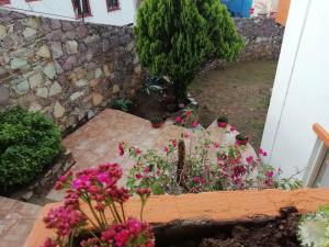 um jardim com flores cor-de-rosa e uma parede de pedra em Casa Emmanuel em Guanajuato