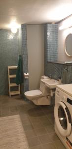a bathroom with a toilet sink and a washing machine at Villa Vy in Rättvik +33 photos