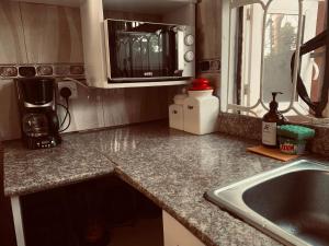 a kitchen counter with a sink and a microwave at Arches&Palms Residence in Arusha