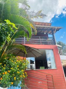 a red house with a palm tree in front of it at Macaco Prosa in Macacos