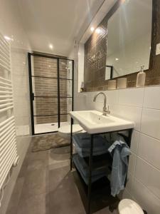 ein Badezimmer mit einem Waschbecken, einem WC und einem Spiegel in der Unterkunft Landgoed Julianahoeve in Helenaveen