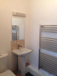 a bathroom with a sink and a toilet and a mirror at The Queen Anne in Hucklow