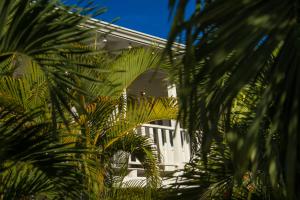 Vườn quanh Hotel Horizontes de Montezuma