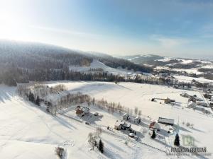 an aerial view of a ski resort in the snow at Ptaszkova PrzyStań in Ptaszkowa