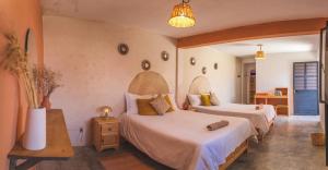 1 dormitorio con 2 camas en una habitación en Casa Sofia Guest House en San Cristóbal de Las Casas