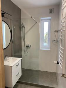 a white bathroom with a shower and a sink at Dekerta 8/7 in Toruń
