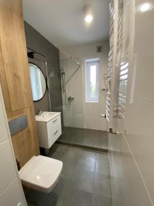 a bathroom with a toilet and a sink and a shower at Dekerta 8/7 in Toruń