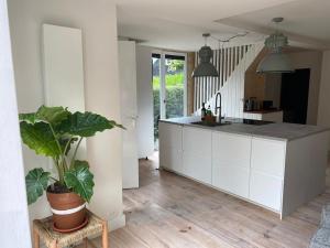 a kitchen with white cabinets and a potted plant at De Keizerskroon 240 in Julianadorp