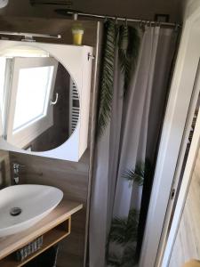 een badkamer met een douche met wastafel en spiegel bij Note di lago in Manerba del Garda