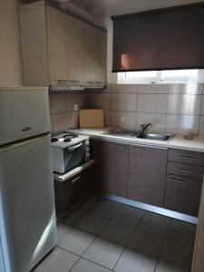 Kuchyň nebo kuchyňský kout v ubytování Alexandra's Glifa Apartments