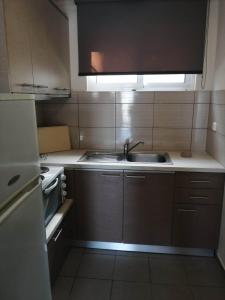 Kuchyň nebo kuchyňský kout v ubytování Alexandra's Glifa Apartments