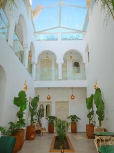 a room with potted plants and a glass ceiling at Riad Dar Blanche & Spa in Marrakesh