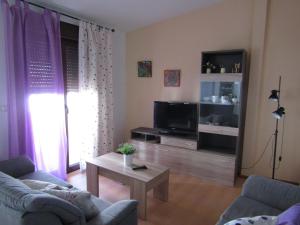 a living room with a couch and a tv at VTAR San Francisco 2º in Baeza