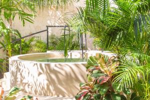 Mynd úr myndasafni af Atman Residences Tulum í Tulum