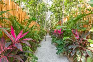 Mynd úr myndasafni af Atman Residences Tulum í Tulum