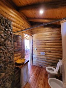 baño con aseo y pared de madera en Paramitas - cabañas y hostel de montaña en Uspallata