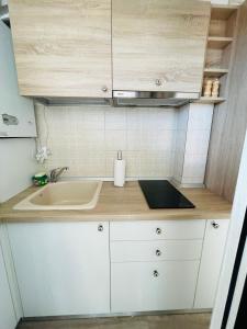 uma pequena cozinha com um lavatório e um balcão em Olive Apartament em Iaşi