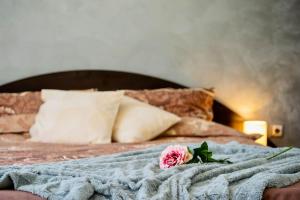 Photo de la galerie de l'établissement Cozy 2-Bedroom Flat in the very Center of Sofia, à Sofia