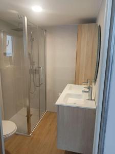 a bathroom with a shower and a sink and a toilet at Nice family house in Hendaye
