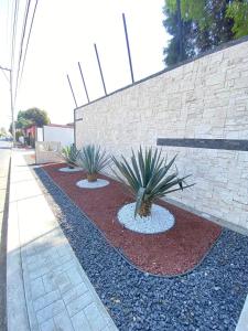 una fila di piante di fronte a un muro di mattoni di Villas Arqueologicas Cholula a Cholula