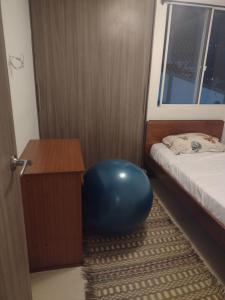 una habitación con cama y una bola azul en el suelo en B&B in Floridablanca with a pool, en Floridablanca
