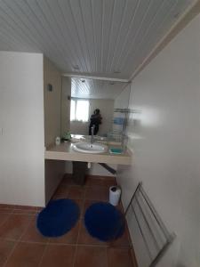 La salle de bains est pourvue d'un lavabo et d'un miroir. dans l'établissement La petite maison dans la prairie, à Gros-Morne