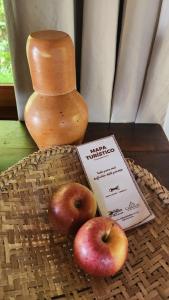 two apples on a table with a mortar and pestle and a book at Pousada Colmeia - Praia de Santo André, Bahia in Santo André
